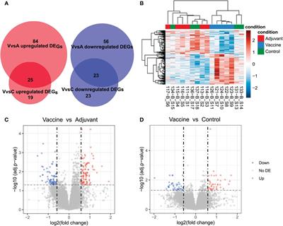 Identifying transcriptomic profiles in ovine spleen after repetitive vaccination